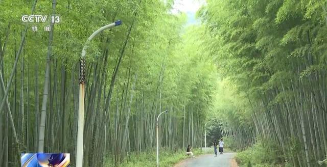 江苏一景区“月均6万元收编泼猴”引关注 “人猴冲突”如何解决？