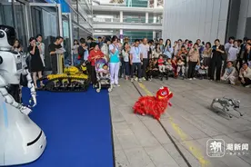 数贸会上看“机器人总动员”图片