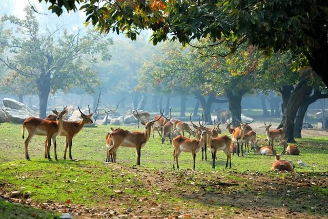 优惠!5折!淡季的西安值得反复来!