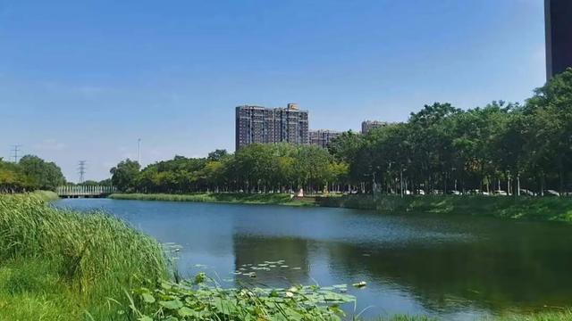 豫见两山 绿色答卷丨生态之旅——打卡“美丽河湖”天鹅湖、饮马河、白龟湖