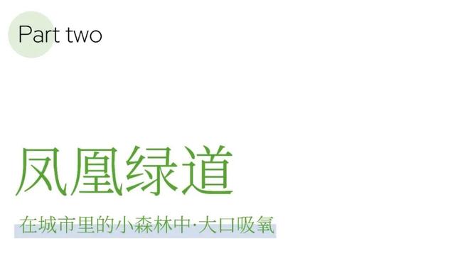 骑进青白江的秋天！这份绿道打卡攻略快收藏