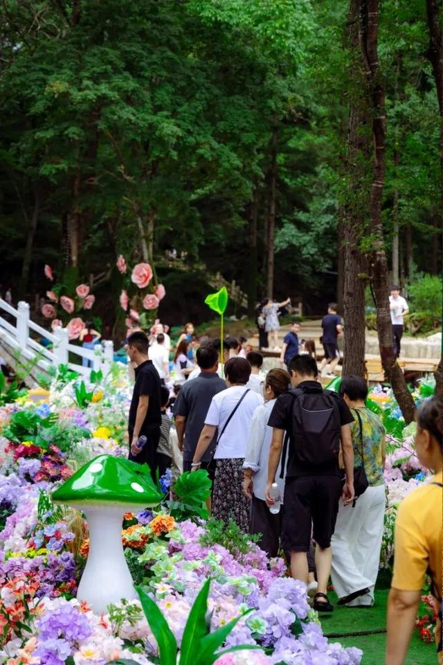暑假余额告急！学生免门票游白云山，解锁夏日清凉狂欢模式～