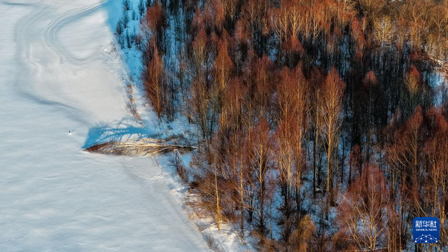 内蒙古根河：壮美的“中国冷极”