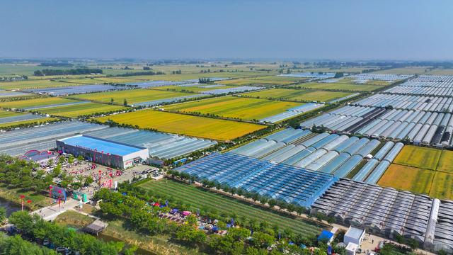 三色文旅绘就四季精彩 泗洪入选江苏“宝藏小城”