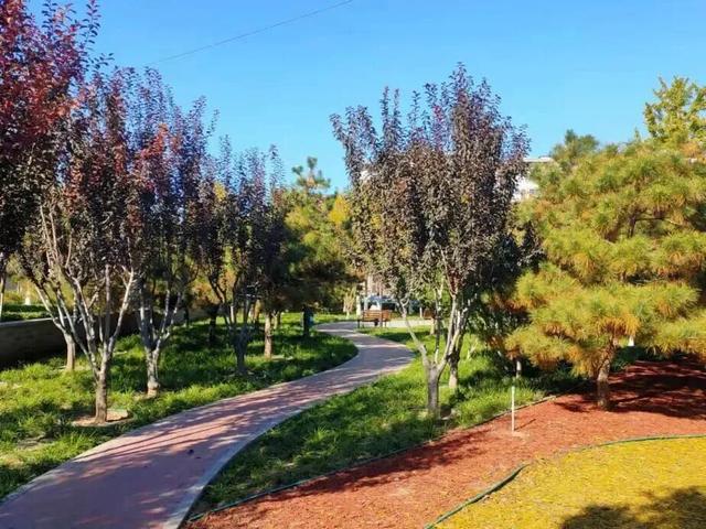 太美了！来副中心，邂逅落叶童话~