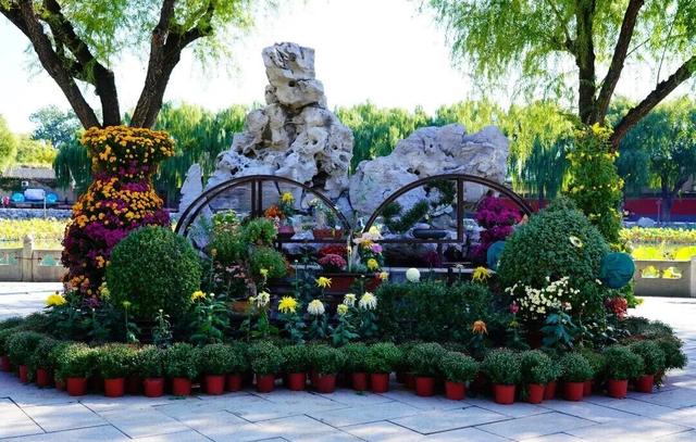 今日重阳，这个食物今天一定要吃！