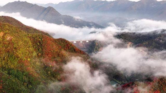 南漳：聚仙观顶望秋深 一笔胭脂染万岑