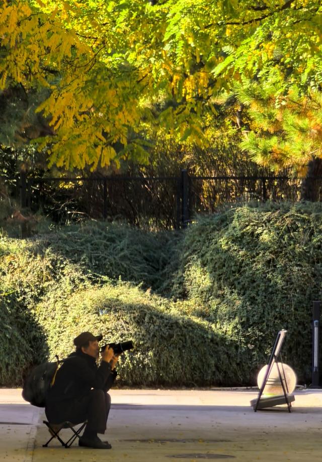 万里无云，阳光正好！周末到公园欣赏北京的秋