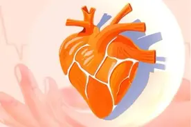 周末·健康丨心率快还是慢好？差别太大了！研究发现平均寿命差9年！图片