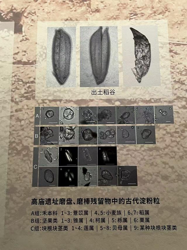怀天化地：稻花香里说怀化