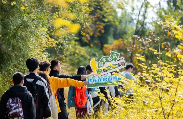 国庆中秋去哪玩？龙泉驿精彩文商体旅活动陪你欢乐过节