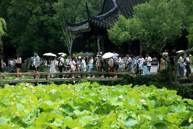江苏苏州：园林迎来暑期旅游高峰
