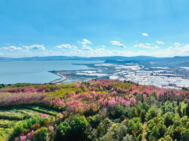 开屏策划｜云南的冬天，想请你“叛逆”一下