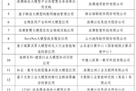 山东发布50个人工智能大模型典型应用案例，济南入围33个占比超六成图片