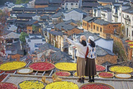 篁岭红叶 + 晒秋，定格人文自然之美