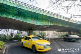 “梧桐大道”再添美丽风景线，高架桥披上三维彩绘梧桐树“外衣”图片