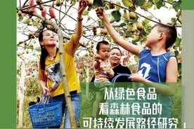 从绿色食品看森林食品的可持续发展路径研究图片