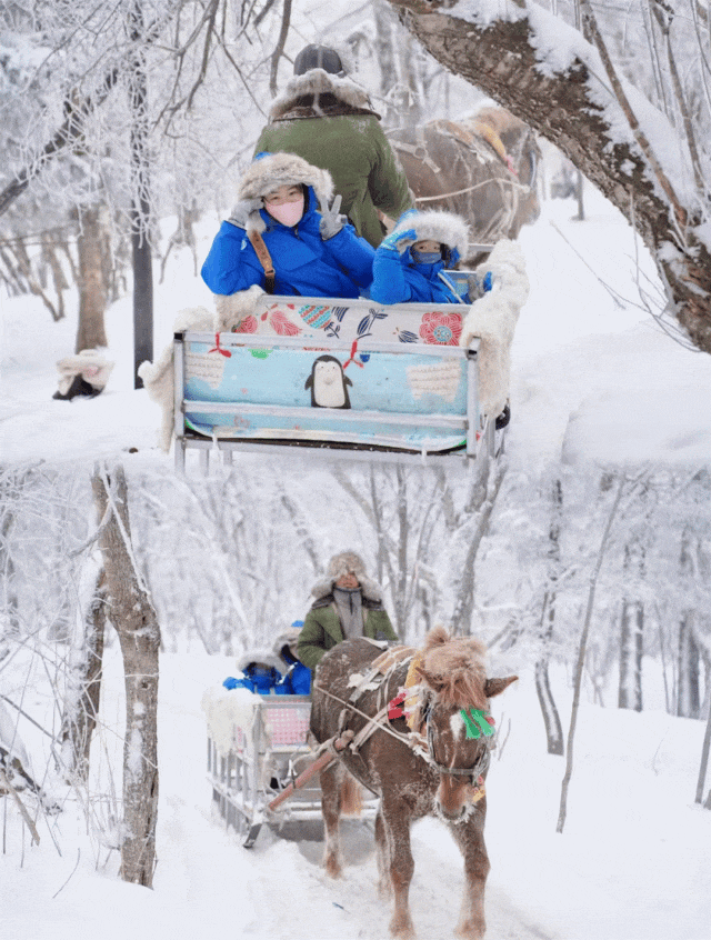 连休五天雪假！遛娃首选延边→