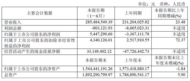 深天马、维信诺、创维数字、汇顶科技、全志科技等19家面板与显示芯片企业2025上半年财报一览