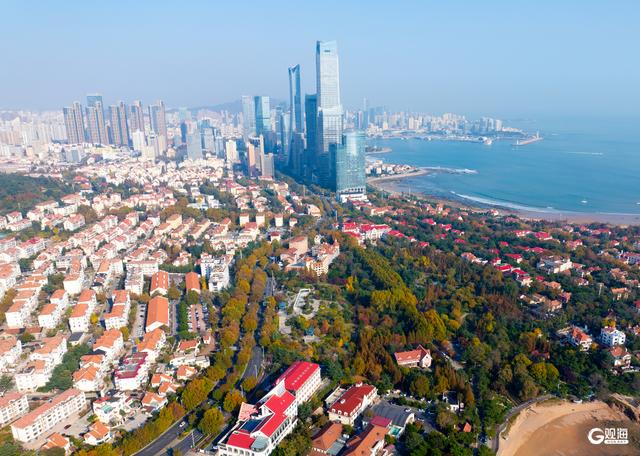 海韵+汇筑+绮景！青岛初冬的浪漫被具象化了
