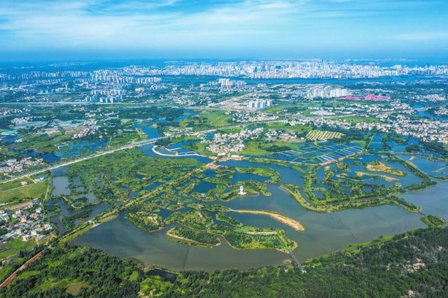 暖冬“追鸟”去！在海口美兰，邂逅灵动之美~