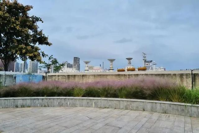 黄浦滨江：限定款“粉色秋景”已美翻，超多人来打卡！