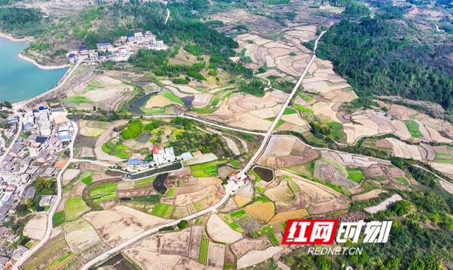 湖南新田：大地“指纹”美如画