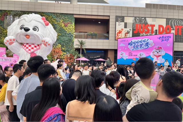 306.21万人次！中牟文化体验景区强势领跑，“为剧赴城”“跟着电影去旅行”成为新风尚