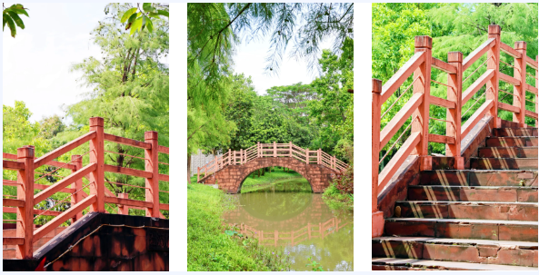 萌物来袭，“喜洋洋”和“乐融融”玩转望牛墩！