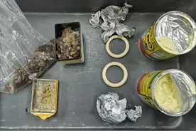 茶叶盒藏穿山甲鳞片、奶粉里藏象牙手镯，一旅客被海关查获图片