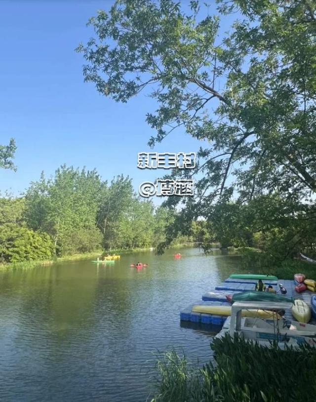 浦东板块高评价宝藏遛狗地分享--持续更新