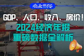 GDP、人口、收入、房价！2024经济年报重磅数据全解析｜商业微史记图片