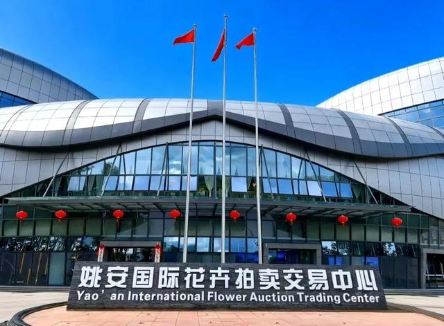 现在就出发，来姚安！