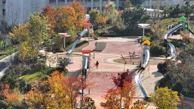 市民身边的多彩乐园，岛城口袋公园进入最美季节