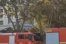 山东德州齐河县财政局大楼发生火灾 当地：火已扑灭，无人员伤亡，正调查起火原因图片