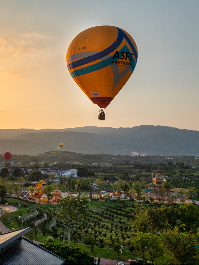 实拍！超美！成都这里的银杏黄了