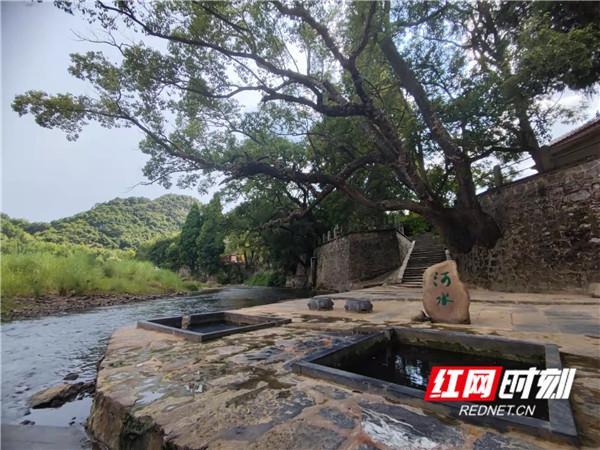 郴州“和美乡村”国庆漫游指南：看见不一样的“湘”村烟火与诗意