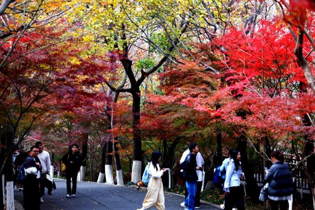 中大路 “红” 了！本周 C 位遛弯地预定！