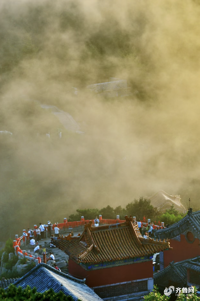 组图丨泰山云雾锁峰峦 静谧景致醉游人