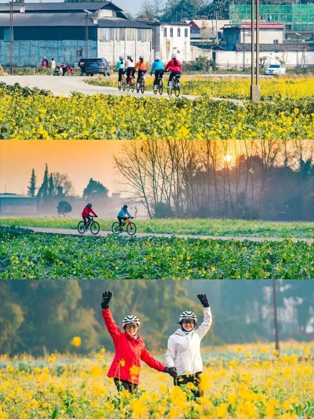 已开！成都怎么提前过上“春天”了