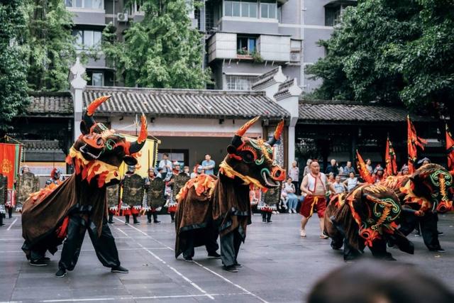 新津古家“火牛”耍成都 游客体验乡土与国际的奇妙邂逅｜万千气象成都行