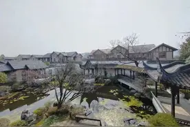 桃花源别墅1.9亿元成交！杭州顶级豪宅，谁在买图片