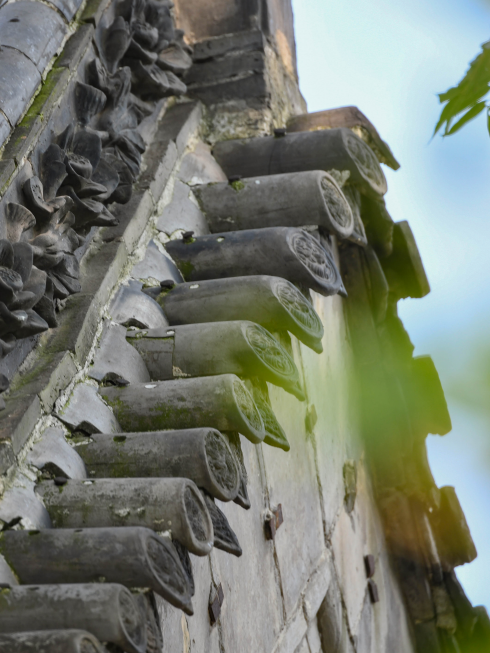 还有谁不知道，逛洛阳真的不用花钱