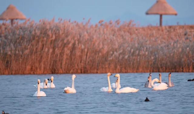 冬韵染南海 一帧一景皆画境