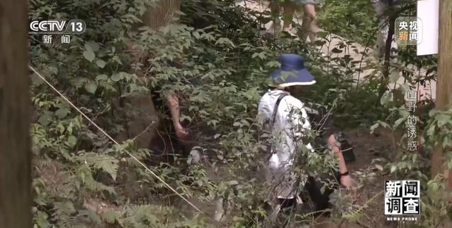 户外探险事故频发 如何规范管理“越界”行为？