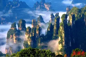 张家界武陵源呵护“世界绿”图片