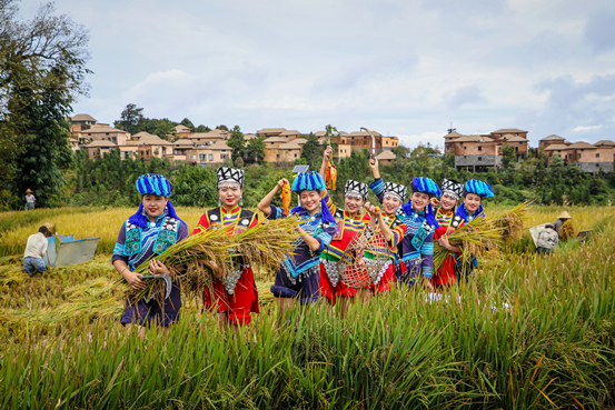 “云上梯田 和美元阳”云南省元阳县亮相《300秒看家乡》