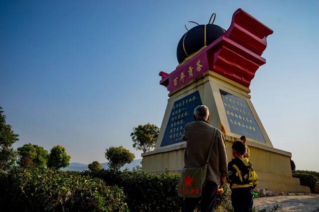 寻迹茶马古道，品味茶乡风情！云南宁洱邀上海游客共赴魅力之约