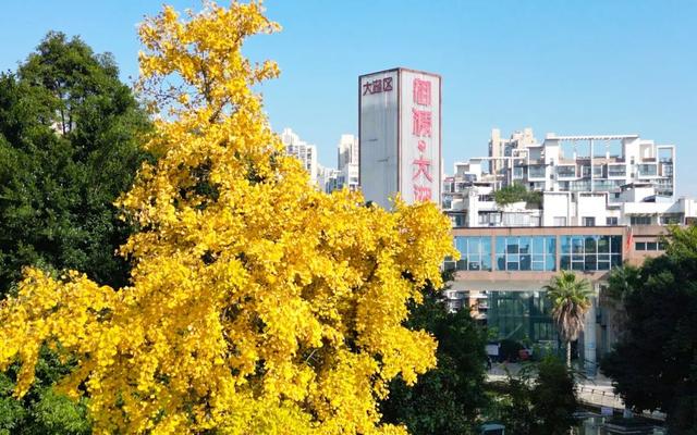 赶紧拍照去！龙泉驿出片指南来了→