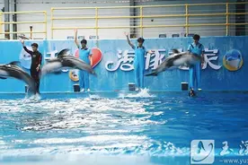 榜样的力量｜云南欢乐大世界文旅营销中心：文旅融合创新路图片